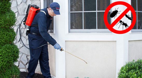 Alaybey Hamam Böceği İlaçlama böcek ilaçlama ve haşere kontrolü — ilaclama-tr.com